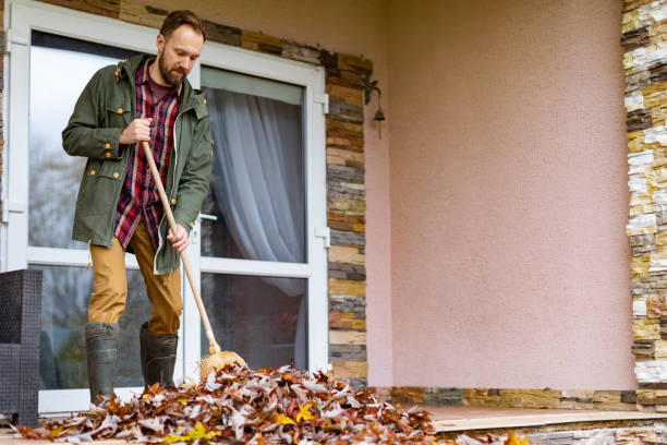 Attic Cleanout Services in Homeland, GA